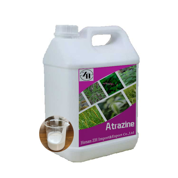 Herbicide Atrazine 50%SC control weeds in crops maize