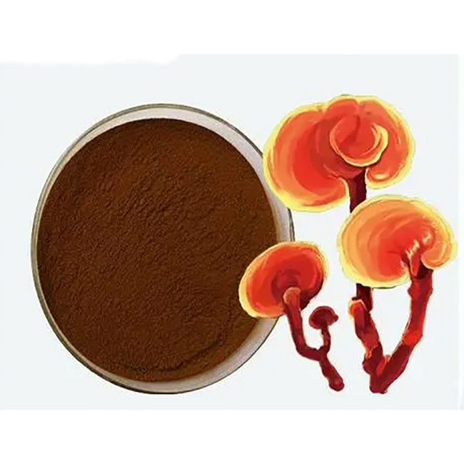 Reishi/Lingzhi extract powder/customize capsule/tablet ganoderma lucidum powder for sale