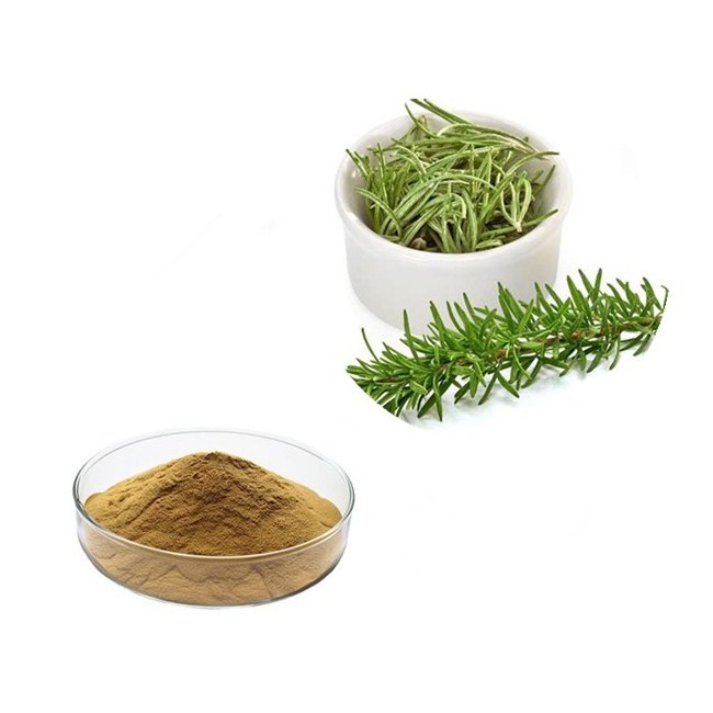 Rosemary Powder Extract Rosmarinic acid 100% pure Rosemary Leaf Extrat