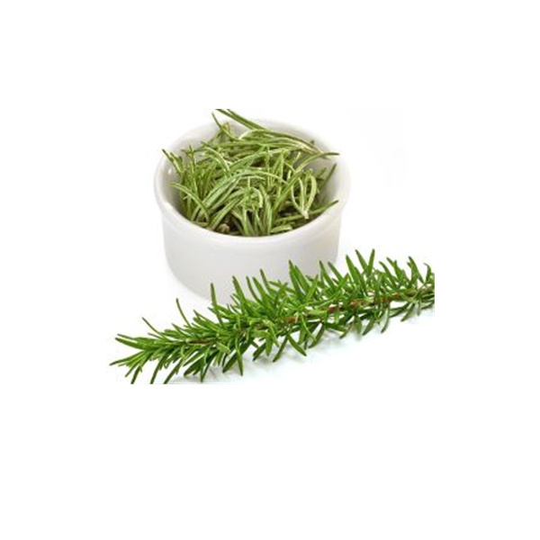 Rosemary Powder Extract Rosmarinic acid 100% pure Rosemary Leaf Extrat