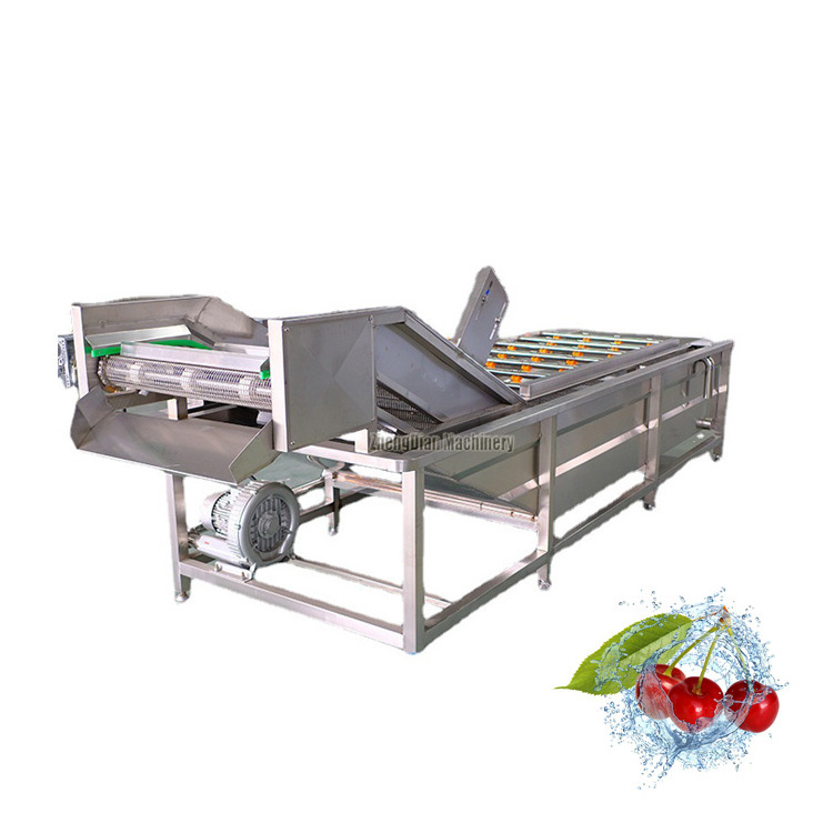 Kumquat Bael Fruit Washing Machine/Corn Tomato Lettuce Washer Machine/Ceylon Olives Curry Leaves Cleaning Machine