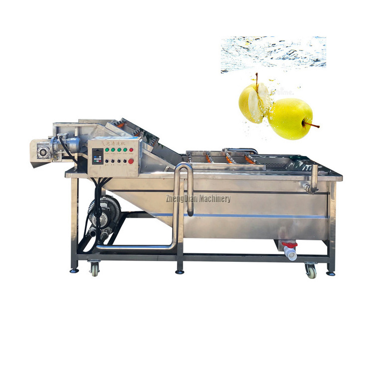 Kumquat Bael Fruit Washing Machine/Corn Tomato Lettuce Washer Machine/Ceylon Olives Curry Leaves Cleaning Machine