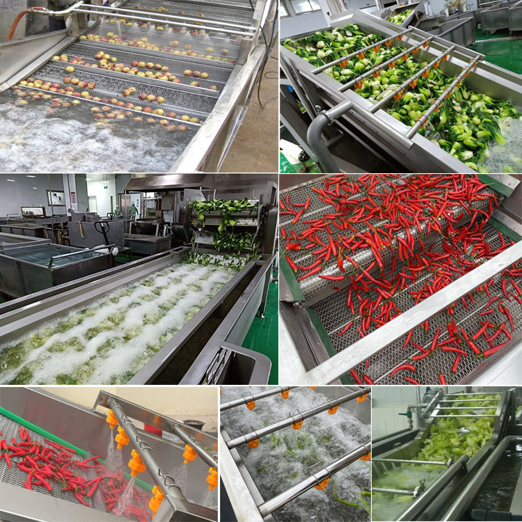 Kumquat Bael Fruit Washing Machine/Corn Tomato Lettuce Washer Machine/Ceylon Olives Curry Leaves Cleaning Machine