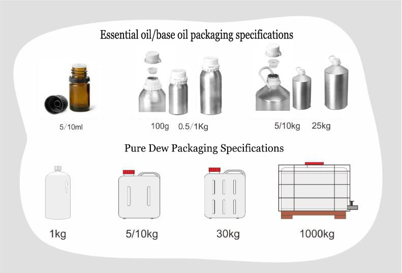 Wholesale Bulk High Quality Concentrated Brand Perfume Fragrance Oil for Perfume Making