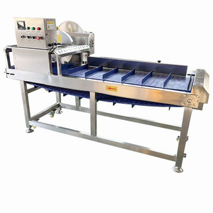 Needle Mushroom Spinach Root Cutter Machine Lettuce Root Cutting Machine Garlic Root Cutter