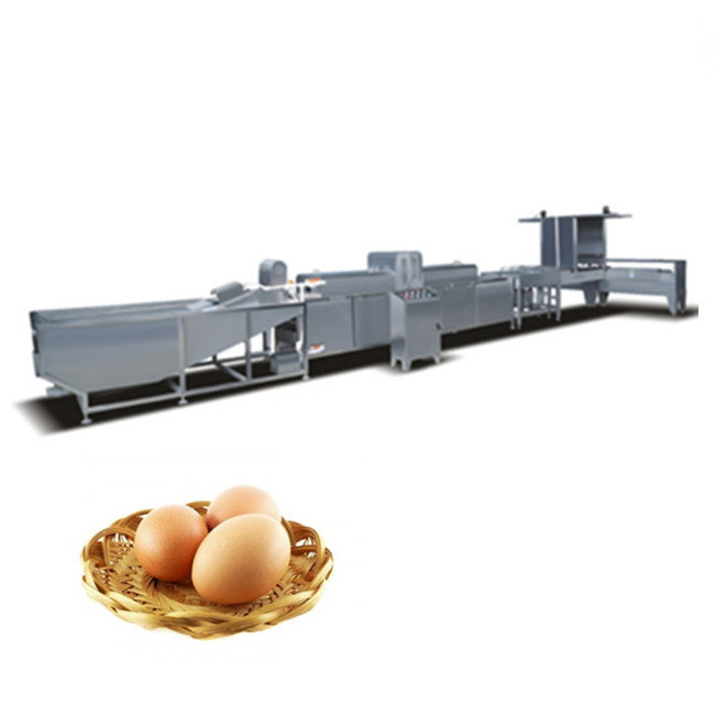 Industrial Automatic Poultry Egg Cleaner Washer Washing Machine