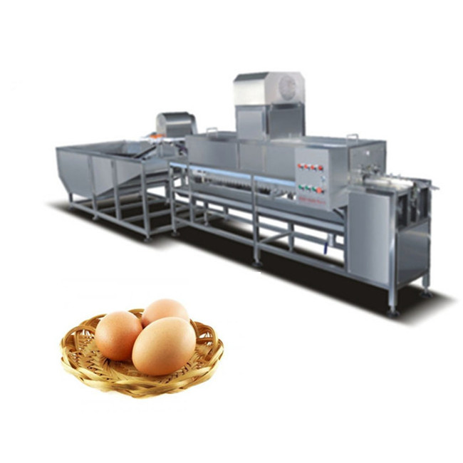 Industrial Automatic Poultry Egg Cleaner Washer Washing Machine