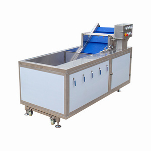 High Efficiency Chinese Cabbage Spinach Vegetable Washing Machine Industrial Fruit Bubble Washing Machine