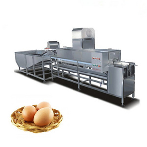 Industrial Automatic Poultry Egg Cleaner Washer Washing Machine