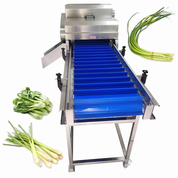 Needle Mushroom Spinach Root Cutter Machine Lettuce Root Cutting Machine Garlic Root Cutter