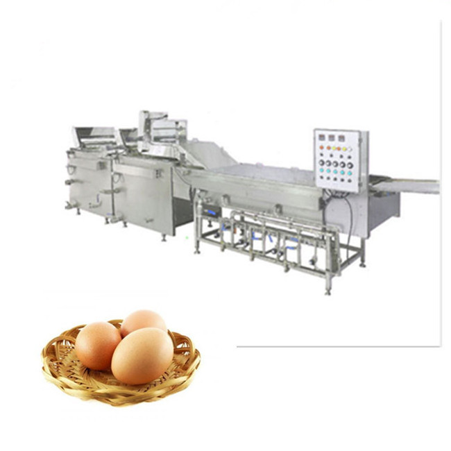 Industrial Automatic Poultry Egg Cleaner Washer Washing Machine