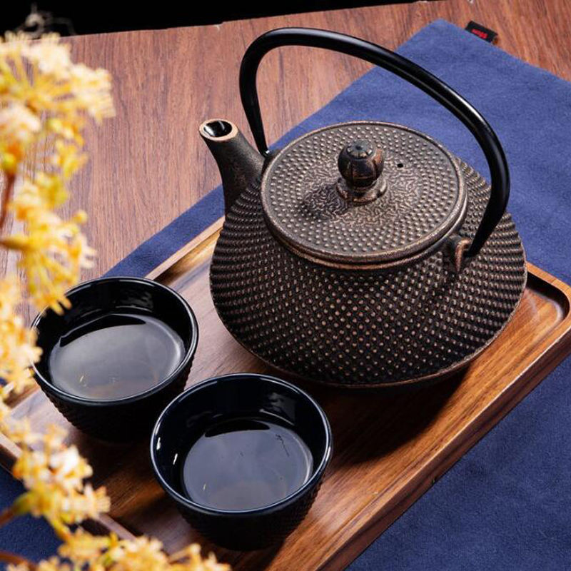 Classic Kung Fu Tea Pot Cast Iron Teapot Handle Tea Kettle Cup Set  Cat Hair Kit  Iron Health Care Kettle