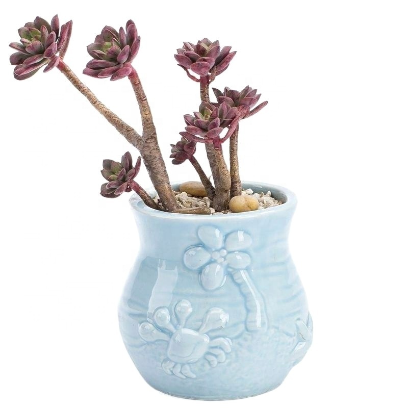 Marine ocean cartoon plant pot blue sea animal porcelain potted basin whales starfish shell fish ceramic succulent flower pot