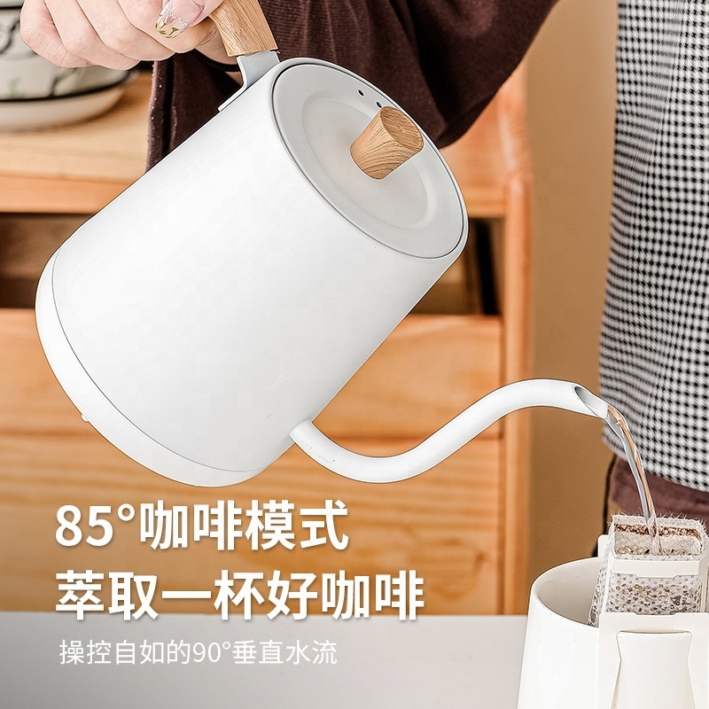 Manufacturer 800ml electric kettles smart with temperature control pour over digital tea maker gooseneck coffee drip kettle