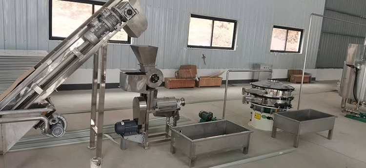 Commercial Fruit Juice Making Machine Apple Juice Extractor Machine Fresh Juice Makes and Filling Machine for Small Business