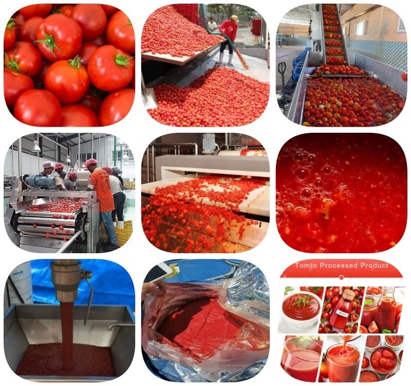 Industrial Commercial Automatic Fresh Ketchup Processing Tomato Puree Production Line Tomato Paste Making Machine