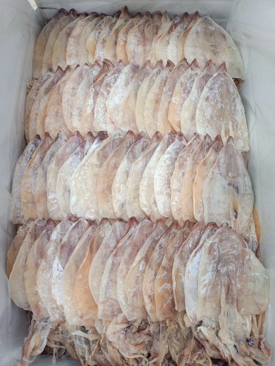 Packaging ISO Cert Standard Price Reasonable Export Dried Squid 8-130 pcs/kg Ready To Ship HUNG TAM VN from Vietnam