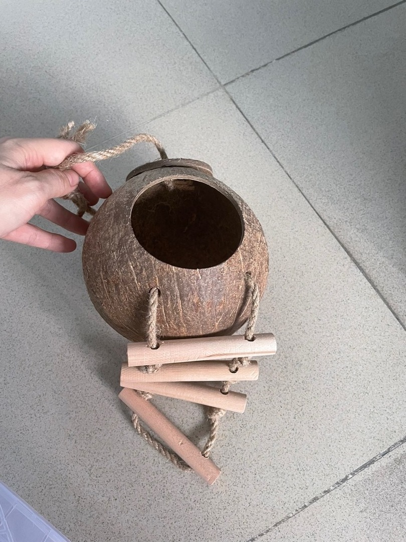 Coconut Shells for Pet Supplies Bird Hamster Squirrel Cage House Nests Whosale Natural Bowls 6 Cm Gif HOANG LINH SG from Vietnam