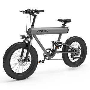 Hot sale factory direct 10000w 15000w electric hybrid bike