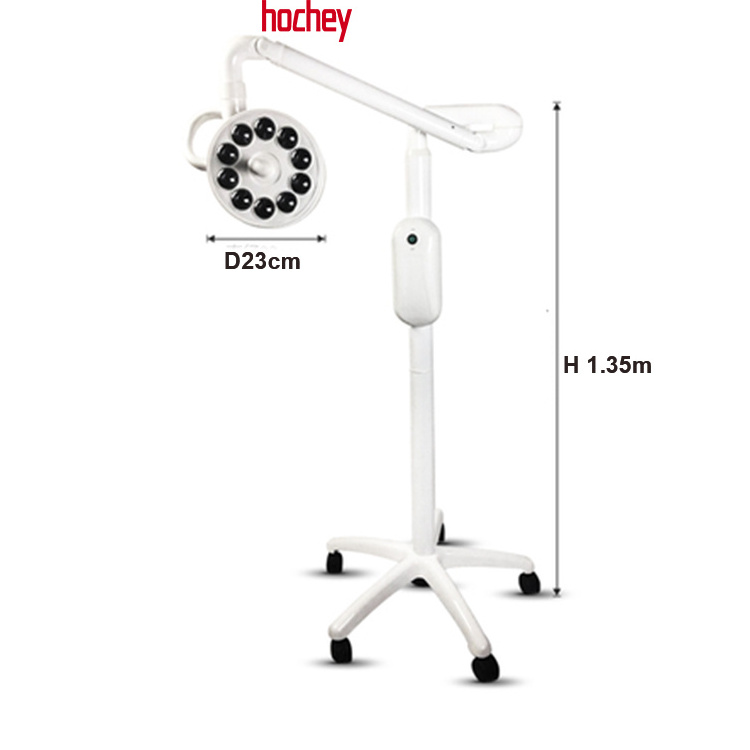 Hochey Medical Wall Mounted Clinic Surgical LED Lamp Medical Dental Examination Light