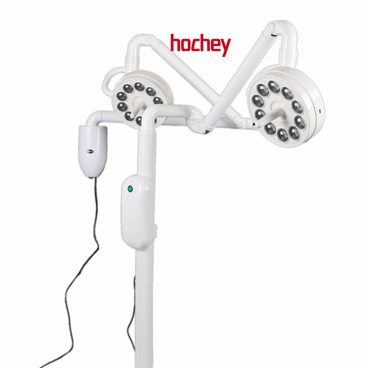 Hochey Medical Wall Mounted Clinic Surgical LED Lamp Medical Dental Examination Light