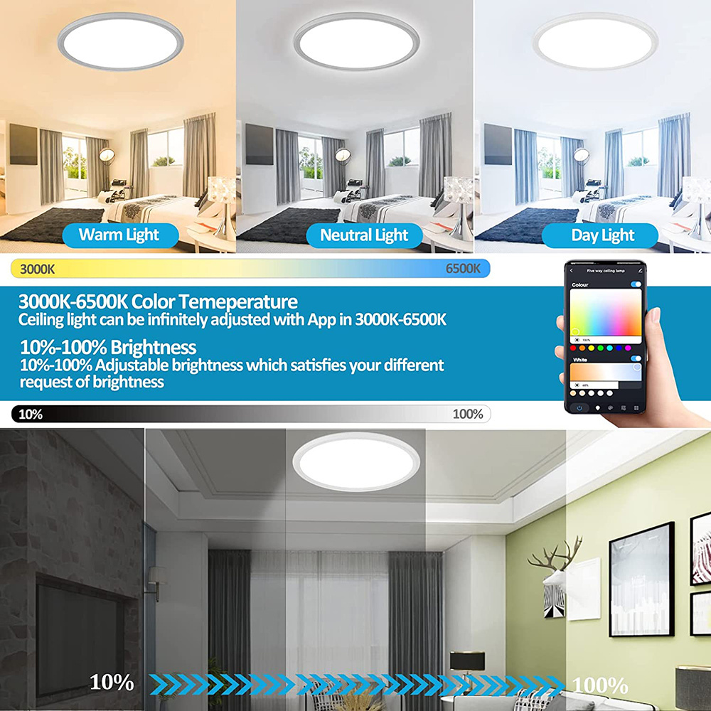 Smart Home Lighting RGBCW Wifi Voice Surplife APP RGB Color Change 12 Inch Flush Mount LED Ceiling Light for Bedroom Living room