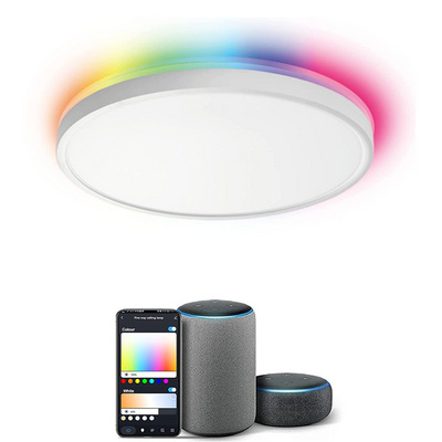 Smart Home Lighting RGBCW Wifi Voice Surplife APP RGB Color Change 12 Inch Flush Mount LED Ceiling Light for Bedroom Living room