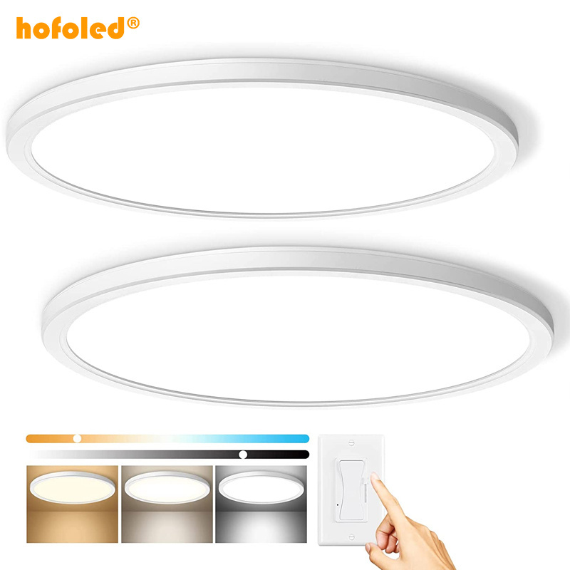 Hofoled Modern Round Ultra Thin Ceiling Light LED Fixtures Ceiling Chandelier Flush Mount Led Ceiling Lights For Living Bedroom