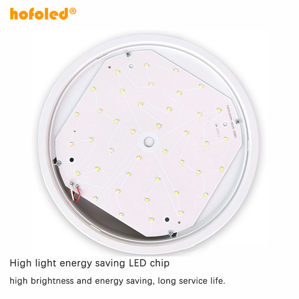 Hofoled Surface LED Flush Mount Lighting Fixture 20W Outdoor Ceiling Lamp Round Oval Led Bulkhead Light