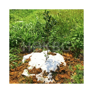 HOKBG Hot Sale mulch  Biodegradable weed mat barrier weed control fabric Anti Grass Cloth Weed Control Mat