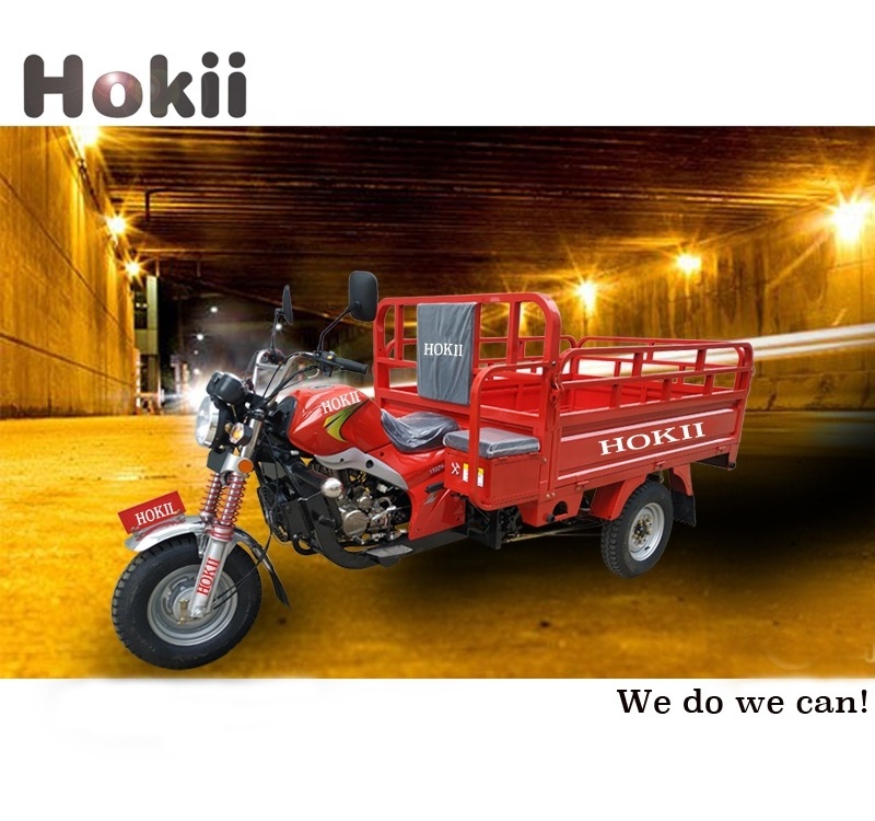 hokii manufacture slingshot motorcycle 3 wheel 150cc gasoline engine 2 speed tricycle differential axle with tvs tricycle parts