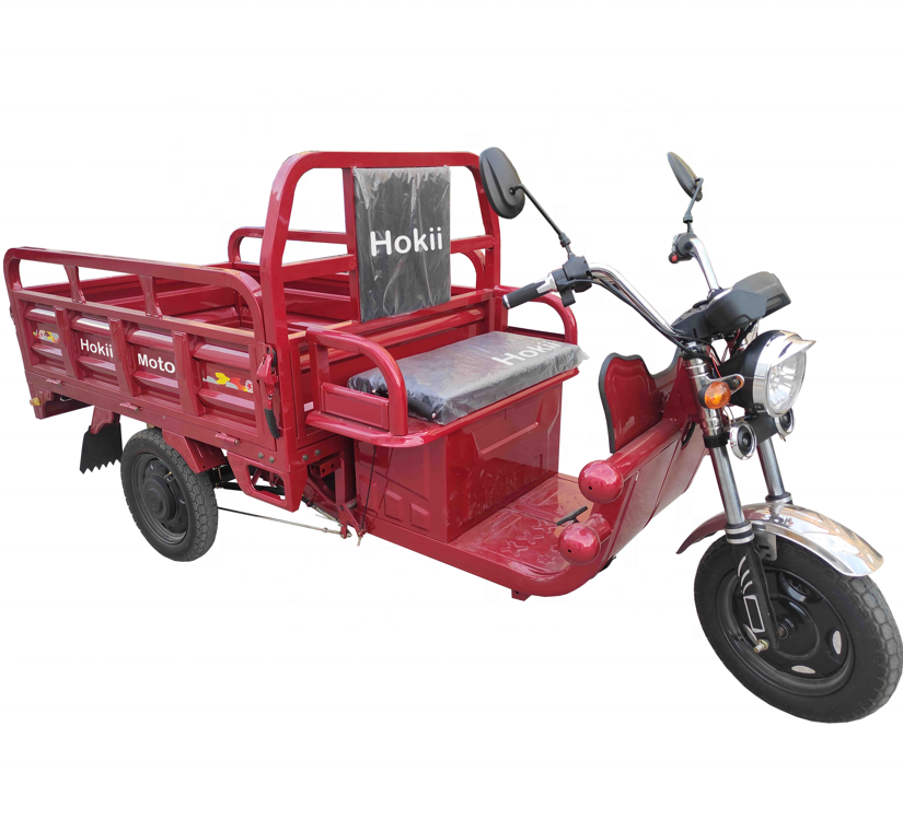 Hokii 2021 new model three wheel electric tricycle/solar panel electric tricycle/electric tricycles 4 wheel electric cargo baik