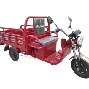 Hokii 2021 new model three wheel electric tricycle/solar panel electric tricycle/electric tricycles 4 wheel electric cargo baik