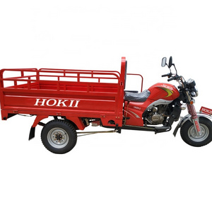 hokii manufacture slingshot motorcycle 3 wheel 150cc gasoline engine 2 speed tricycle differential axle with tvs tricycle parts