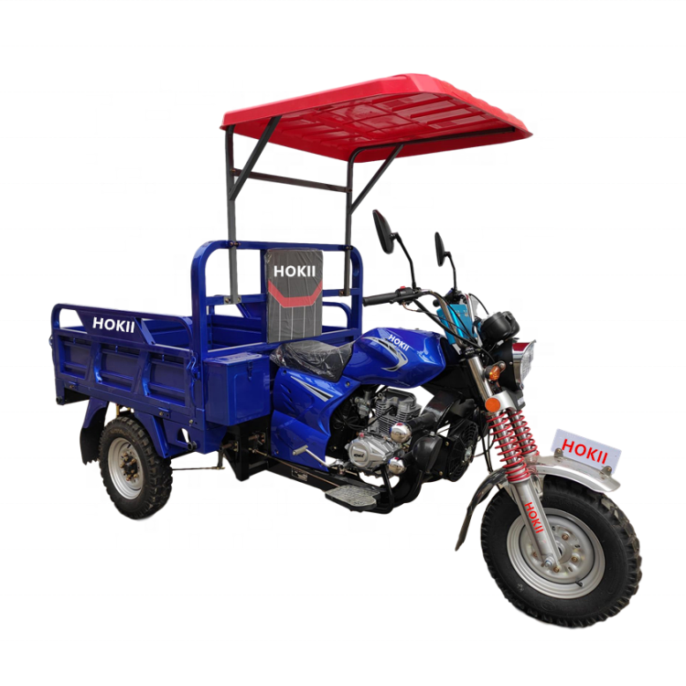 3 wheel motorcycle with cabin passenger tricycle philippines three wheel motorcycle cargo electric tricycle motorised for sale