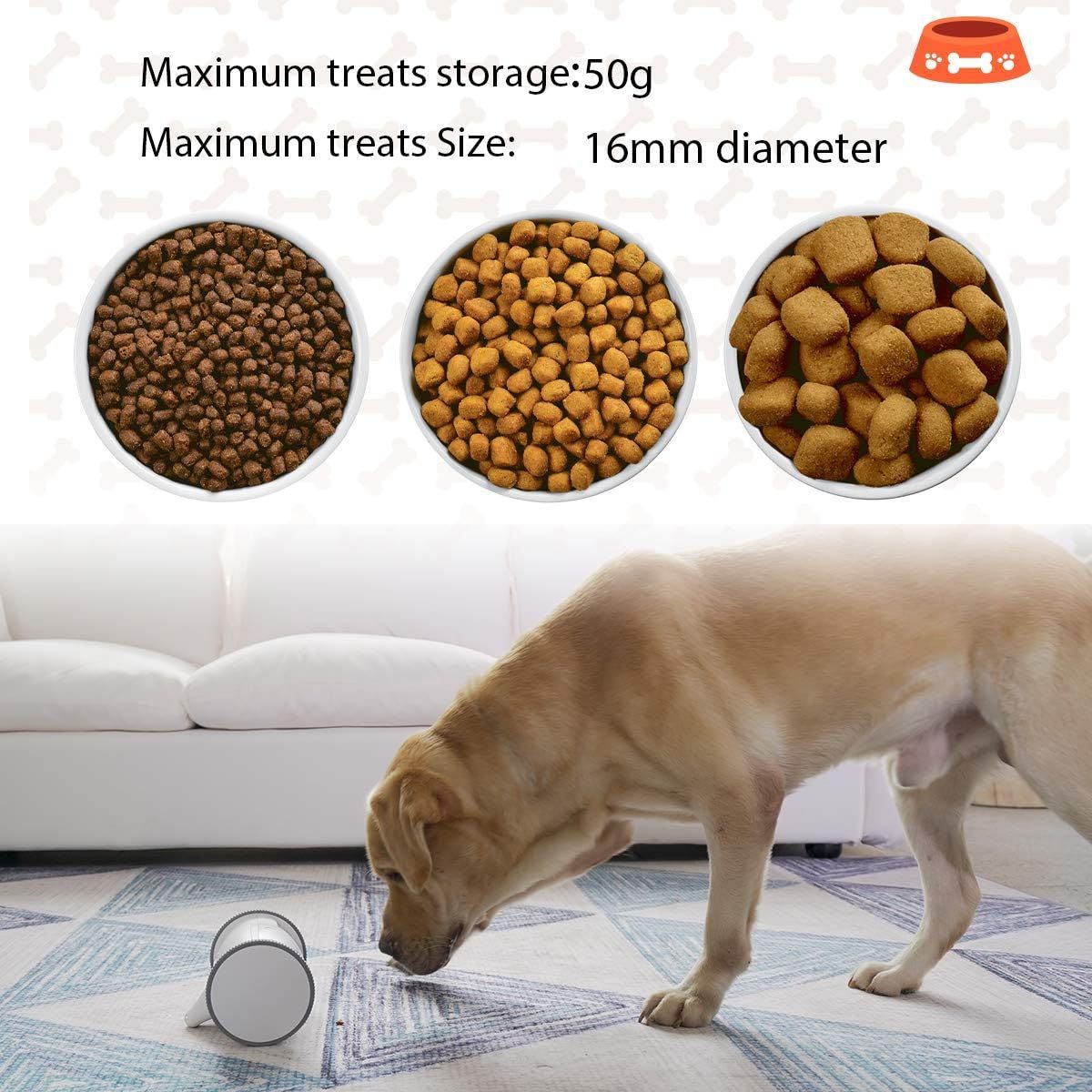 pet feeder with camera wansview shutter petultra stainless steel for dogs smart automatic creative interesting design