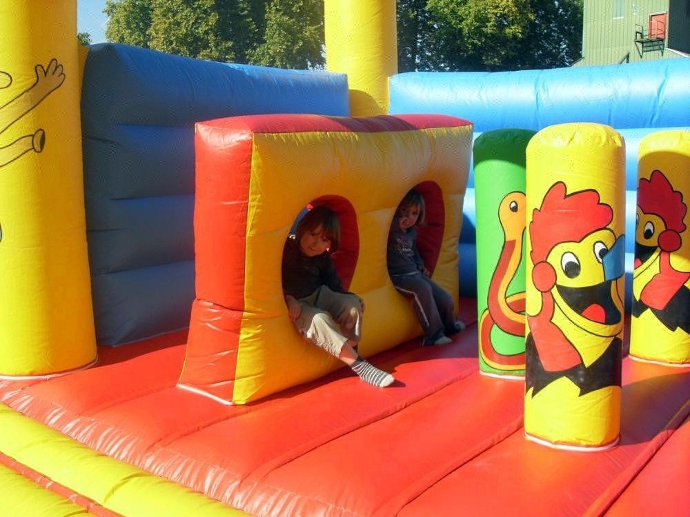 Funny inflatable bouncer/bouncy castle/kids bounce house