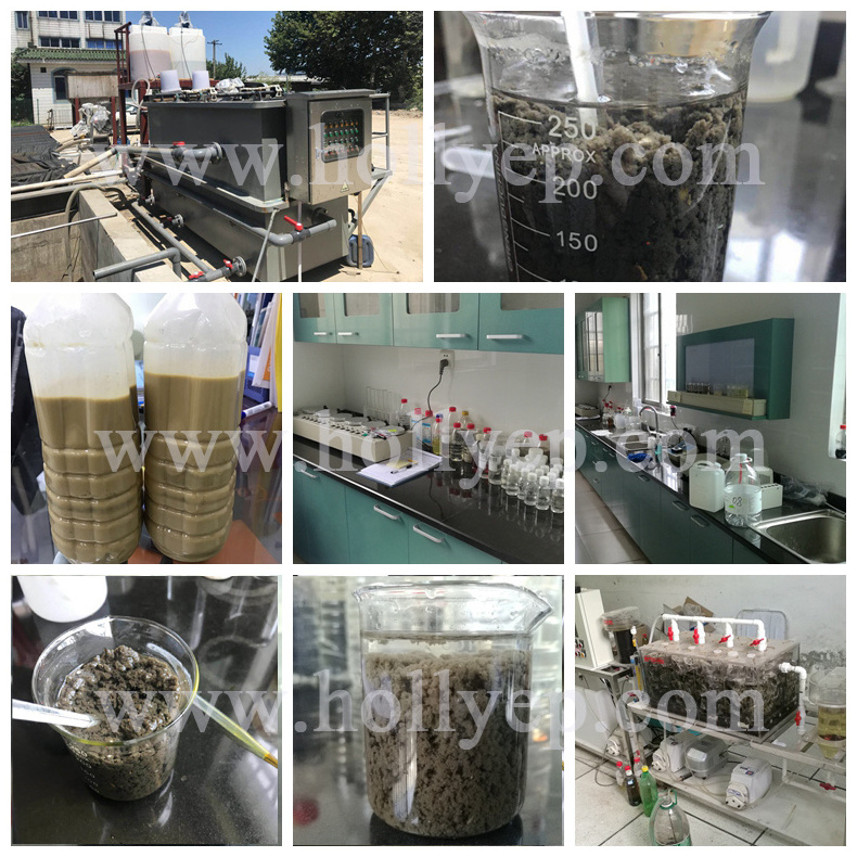 Solid Liquid Separator Screw Press Sludge Dewatering Machine