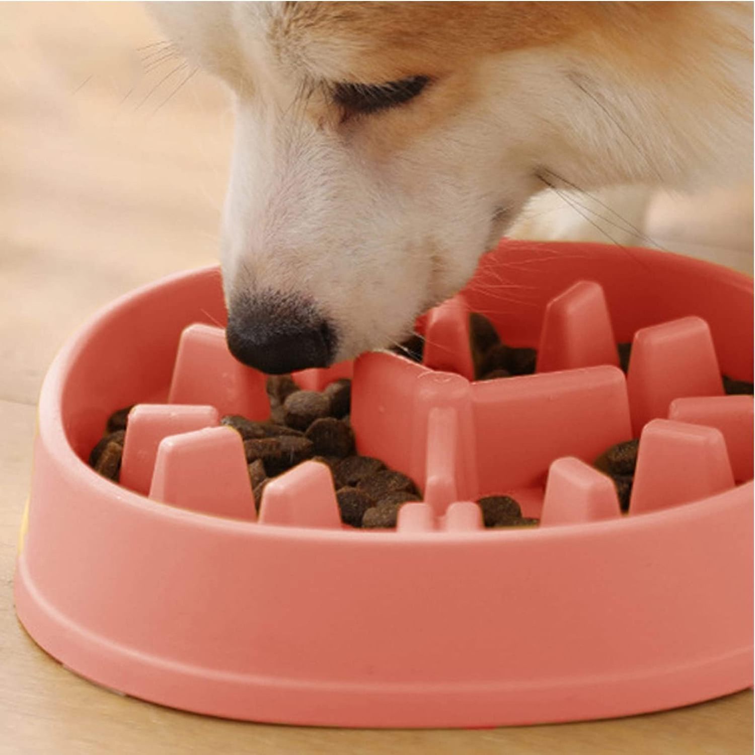 Interactive Bloat Stop Pet Bowl Preventing Choking Healthy Slow Feeder Dog Bowl for Small Medium Dogs & Dry Wet Foods