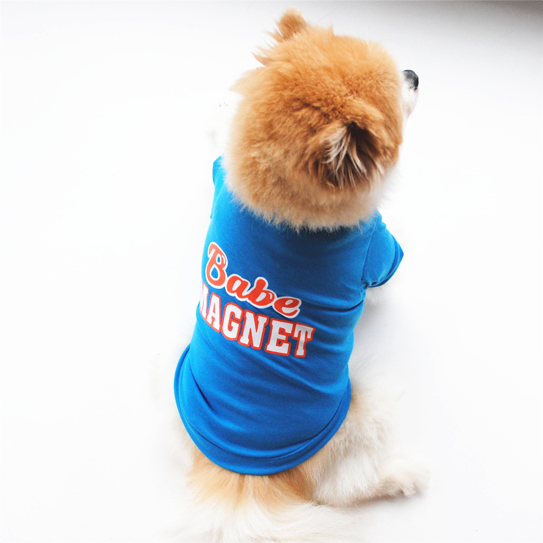 Factory Direct Supply Custom Pet Clothes Autumn dog Clothes Hoodie