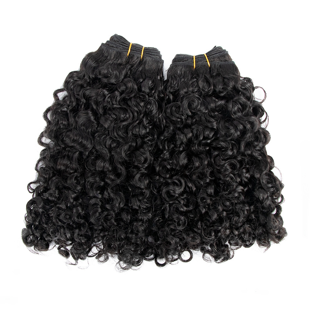 Wholesale Vendor Kinky Curly Burmese Curly Hair Weft Raw Virgin Brazilian Hair For Black Women Hair Bundle