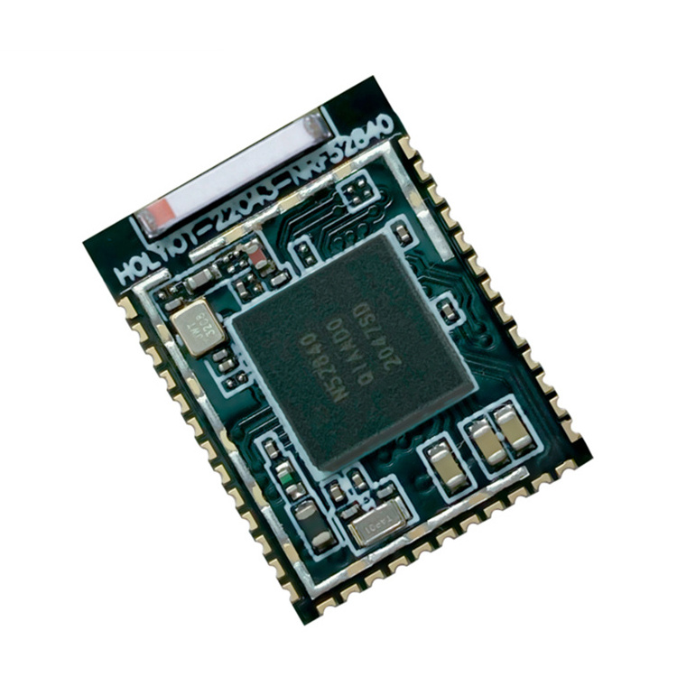 Holyiot Brand-new Chip nRF52840 Mesh Long-range Control Data Transfer Bluetooth Module