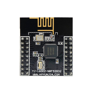 Holyiot Hot Selling Nrf52832 Ble 5.0 Wireless Module Beacon Ibeacon 2.4g Wireless Data Transmitter Receiver Nrf52832