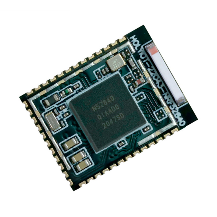 Holyiot Brand-new Chip nRF52840 Mesh Long-range Control Data Transfer Bluetooth Module