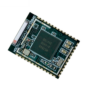 Holyiot Brand-new Chip nRF52840 Mesh Long-range Control Data Transfer Bluetooth Module