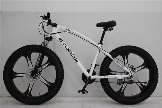 Magnesium alloy wheel 3 spoke  fat tire bike bicycle for cheap