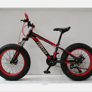 20INCH FAT TYRE BIKE 4.0 tyre bicycle cheap bicycle /MTB bike