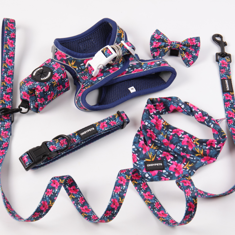 Step In Pets Accessories Dog Harness Set Personalized No Pull Custom Dog Leash And Harness For Cat Small Medium Dog