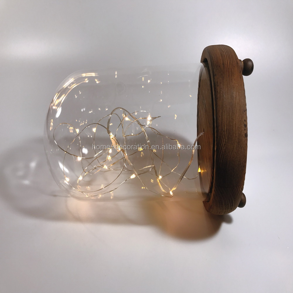 Bell Jar Small Glass Dome with Wood base \\ Taxidermy Glass Butterfly Dome \\ Display Tall Decorative Clear