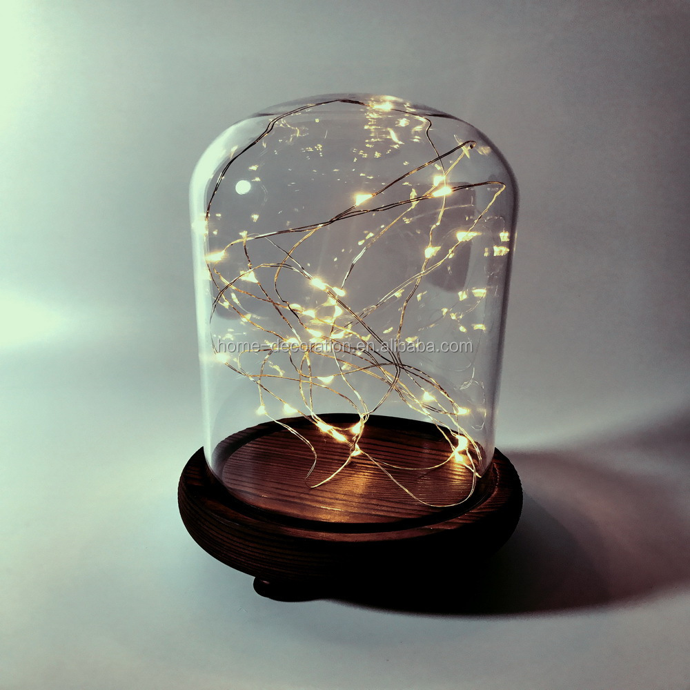 Bell Jar Small Glass Dome with Wood base \\ Taxidermy Glass Butterfly Dome \\ Display Tall Decorative Clear